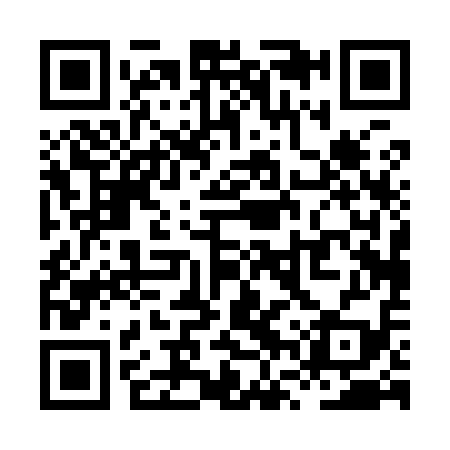 QR code for XVP919