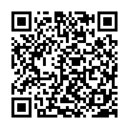 QR code for XVZ335