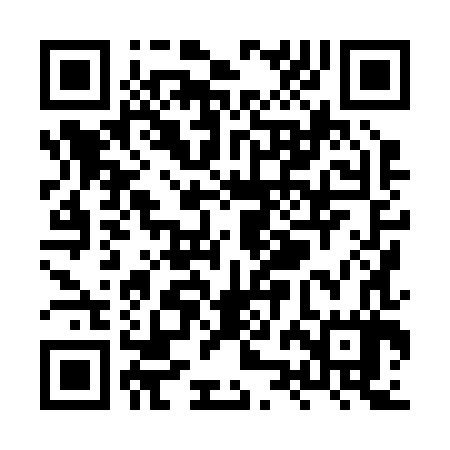 QR code for XZH287