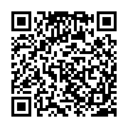 QR code for XZQ397