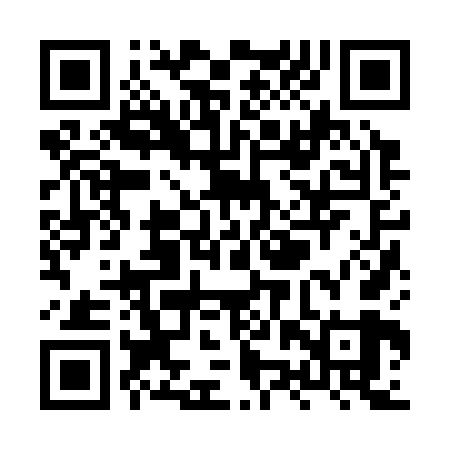 QR code for XZZ369