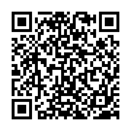 QR code for YAG317