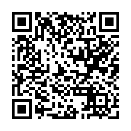 QR code for YAK311