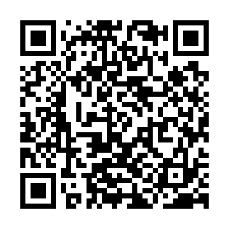 QR code for YAM733