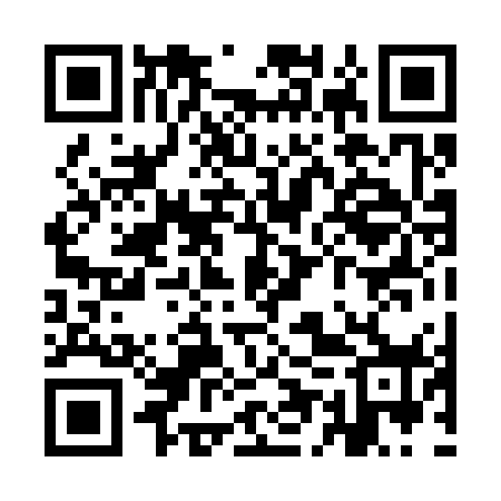 QR code for YEP378