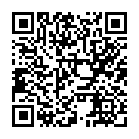 QR code for YEX333
