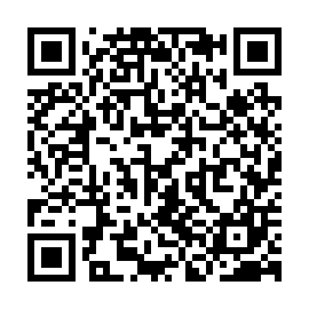 QR code for YFG207