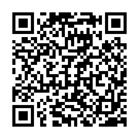 QR code for YFV213