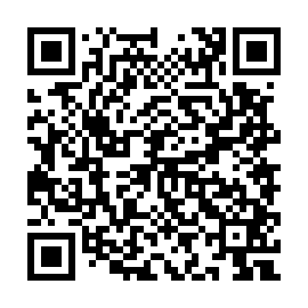 QR code for YIN541