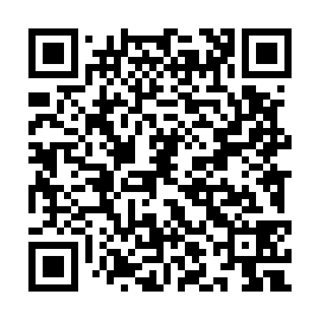 QR code for YLL538
