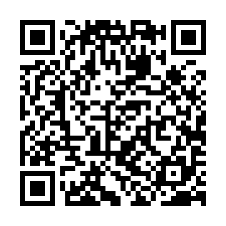 QR code for YLT995