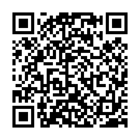 QR code for YNV433