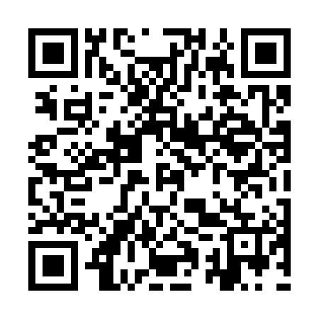 QR code for YQT385