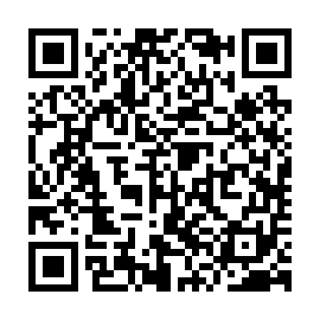 QR code for YVB251