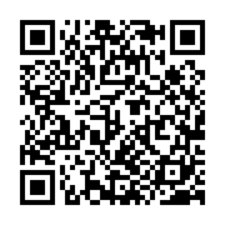 QR code for YYL161