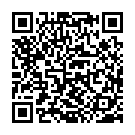 QR code for YYP368