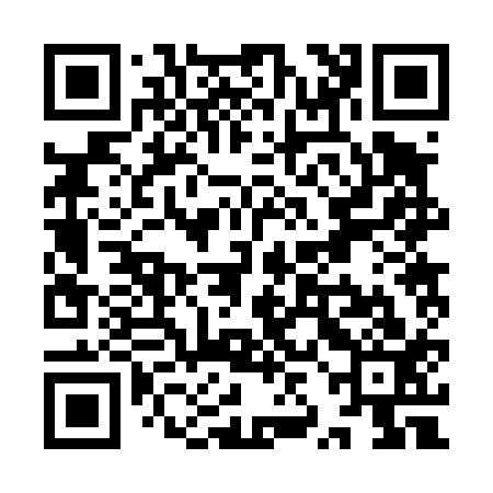 QR code for YZB413