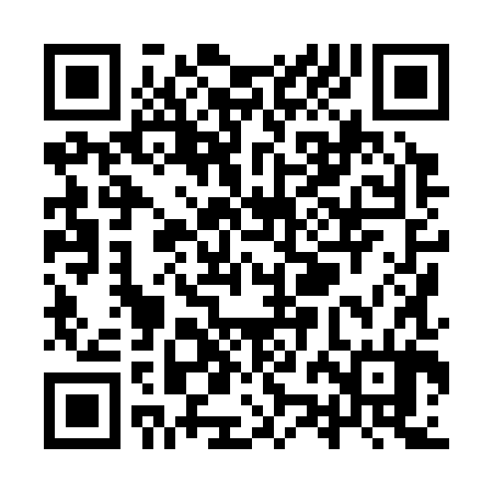 QR code for YZH384