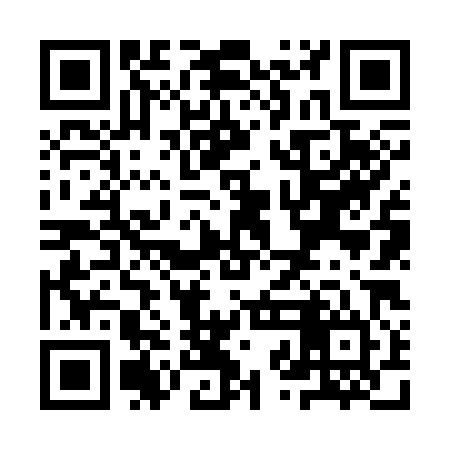 QR code for YZN384