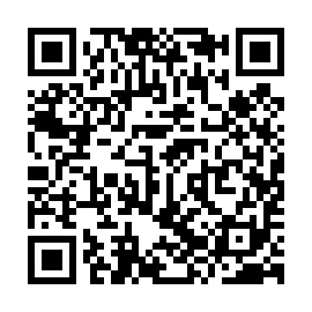 QR code for YZQ491