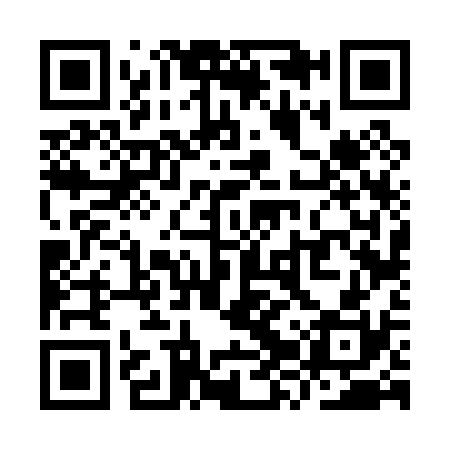 QR code for YZV030