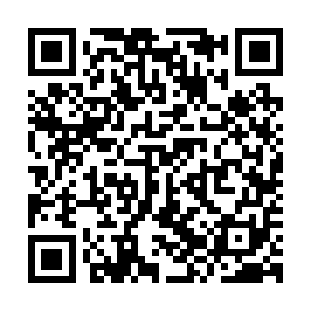 QR code for YZV251