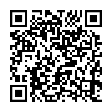 QR code for YZV371