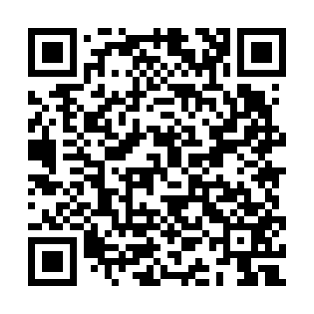 QR code for ZAM653