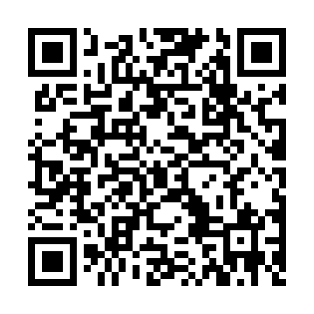 QR code for ZBD541