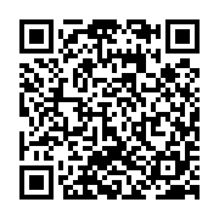 QR code for ZDE595