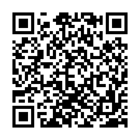 QR code for ZDG216