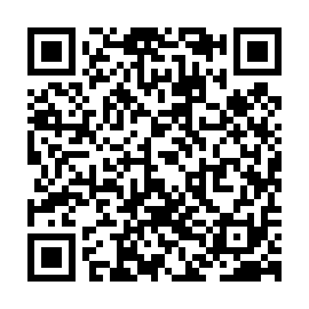 QR code for ZDI411