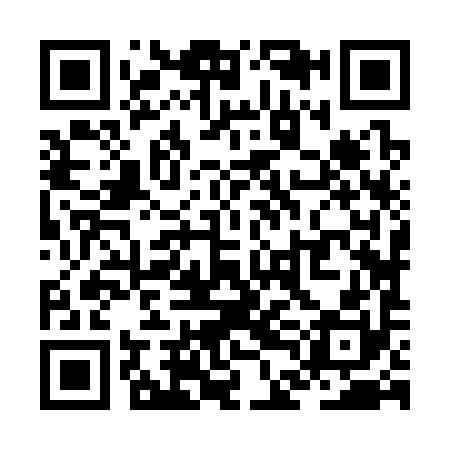 QR code for ZDJ390