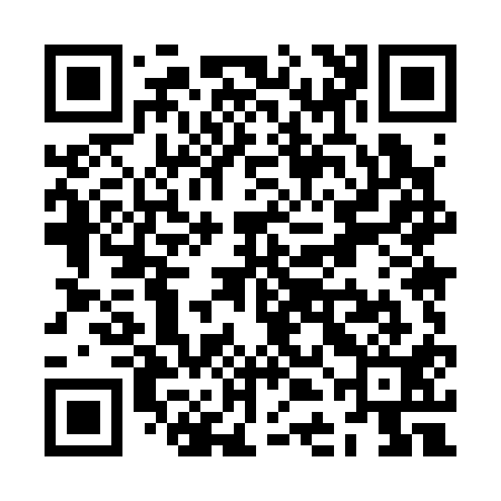 QR code for ZDM311