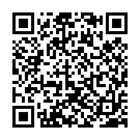 QR code for ZDM413