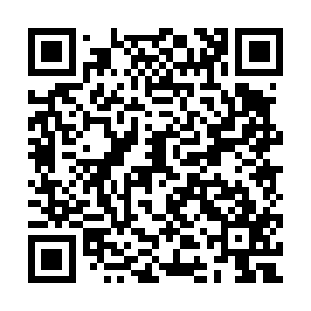 QR code for ZDP417