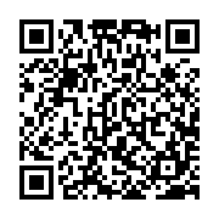 QR code for ZDT994