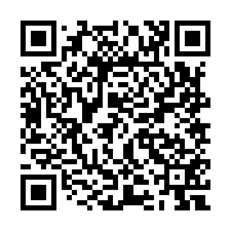 QR code for ZDZ951