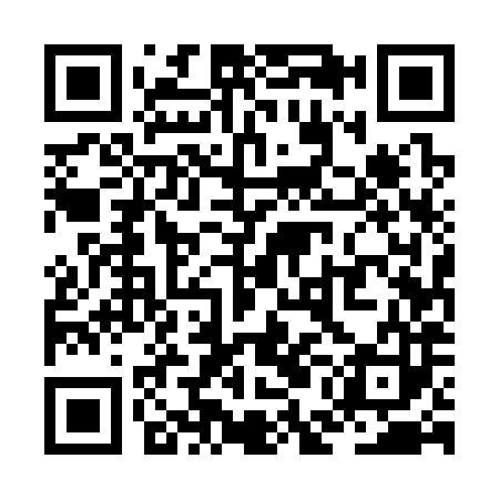 QR code for ZEE383