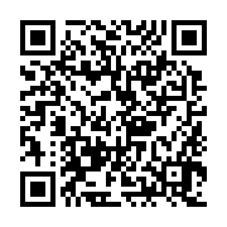 QR code for ZEN386