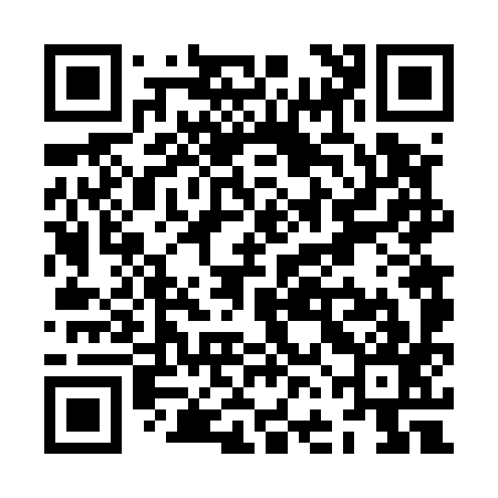 QR code for ZFF597