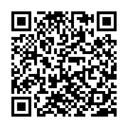 QR code for ZFL228