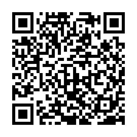 QR code for ZFY311