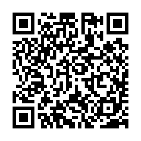 QR code for ZGB795