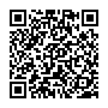 QR code for ZGM389