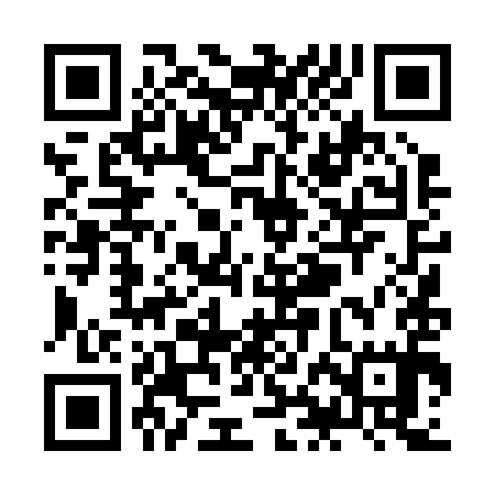 QR code for ZHD295