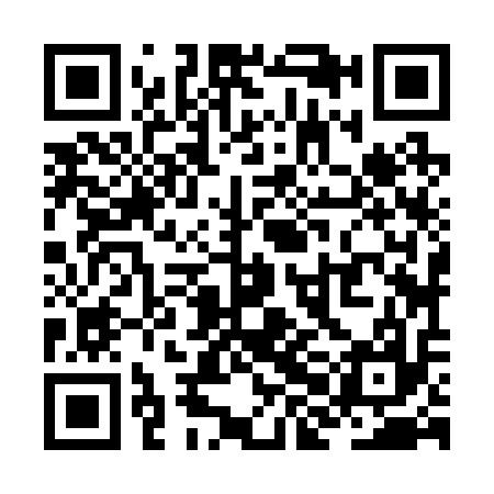 QR code for ZHJ217