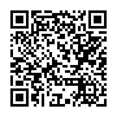 QR code for ZIG656