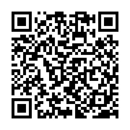QR code for ZIU291