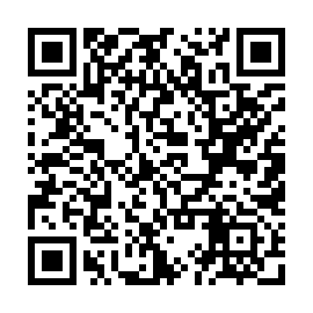 QR code for ZIU993